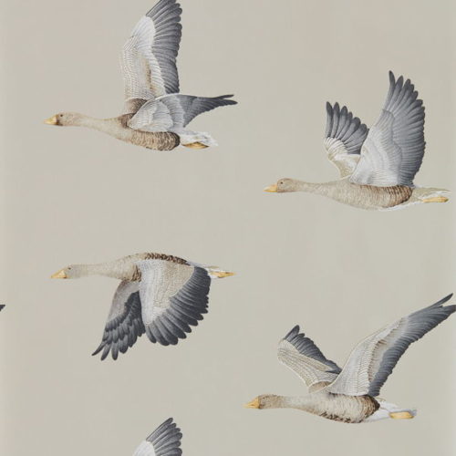 Elysian Geese 216611